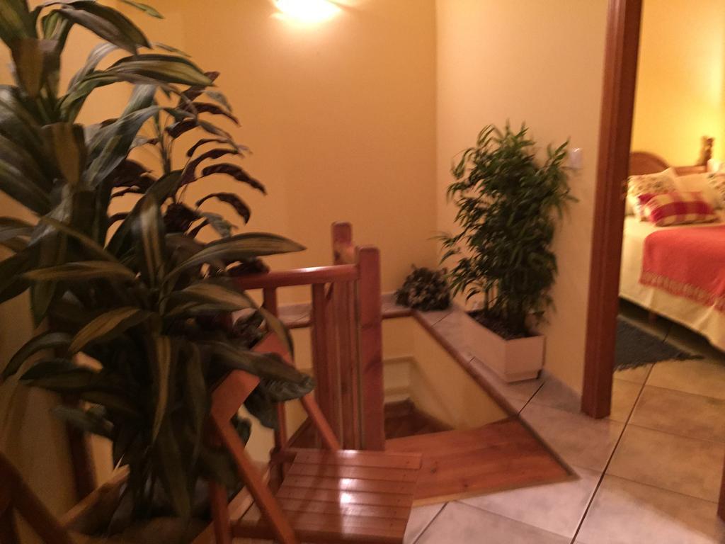 La Fusteria Del Casat Apartment Sarroca de Bellera Ngoại thất bức ảnh